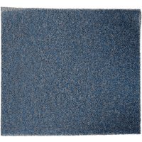 Zamienny filtr jonizacyjny do AERIUM DH10 Ionic