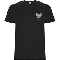 Promotional Merchandise Stafford T-Shirt with Express Logo Print – XL 100% Cotton – Solid black – Apparel for Corporate Team Events