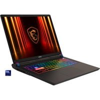 Vector 17 HX AI A2XWHG-041, Gaming-Notebook