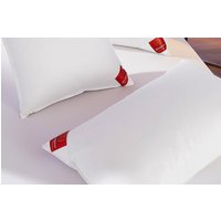 Brinkhaus Down Surround Pillow