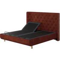 TEMPUR Arc Ergo Smart Base with Luxury Headboard