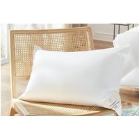 Brinkhaus Blue Goose Down Pillow
