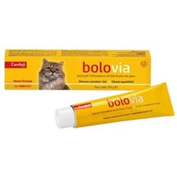 Bolo Via Pasta Gatti 100G Bolo Via Pasta Gatti 100G