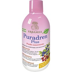 Puradren Plus Mirtillo E Frutti Rossi 500Ml
