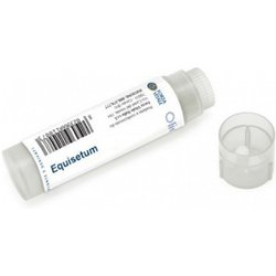 Equisetum Rame Oro Argento 100Gl