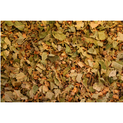 Tiglio Foglie Taglio Tisana 100 Gr