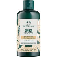 The Body Shop Conditioner Ginger