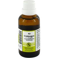 Crataegus F Komplex 42 Dilution