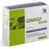 Ginkgo + Vitamine C E B1 und Folsäure 100 mg Kapseln