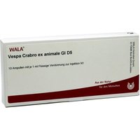 Vespa Crabro Ex Animale Gl D5 Ampullen