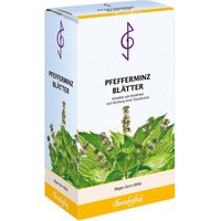 Pfefferminzblätter Tee
