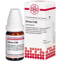 Silicea C100 C100 Globuli