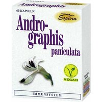 Andrographis paniculata Kapseln