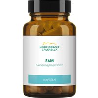 Sam S-adenosylmethionin Kapseln