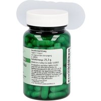 Vitamin B12 Kapseln