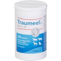 Traumeel LT ad us vet Tabletten