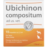 Ubichinon compositum Ampullen Ubichinon compositum Ampullen