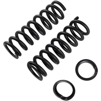 Old Man Emu 4000 Front Coil Springs