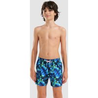 Arena Aktion 28% Rabatt auf Badeshorts Leaf Design