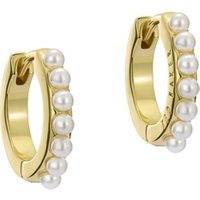 Ted Baker Gold Persia Pearl Huggie Earrings - Gold
