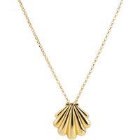 Argento Gold Statement Shell Necklace - Gold