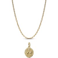 Pandora Gold Lion Medallion Elongated Link Necklace Set - Gold