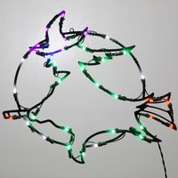 18 x 14 inch LED Light Witch