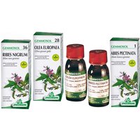 Gemmosol 36 ribes nero macerato glicerico 100 ml