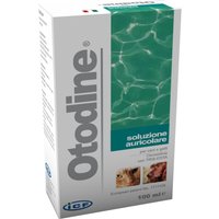 Otodine det.liq.100ml