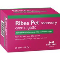 Ribes pet recovery blister 60 perle