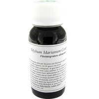 Lvs 03n silybum marianum compositum