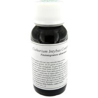 Lvs 05n cichorium intybus compositum