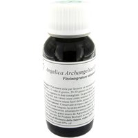 Lvs 06n angelica archangelica compositum