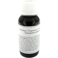 Lvs 07n solidago virgaurea compositum