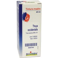 Thuya occ. tm 60ml