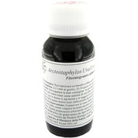 Lvs 59s arctostap uva ursina compositum