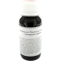 Lvs 67s echinacea purpurea compositum