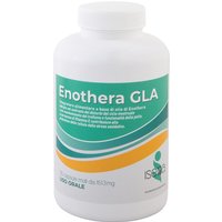 Enothera gla 130 gla 130 primrose oil