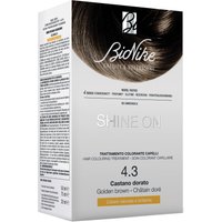 Bionike shine on capelli castano dorato 4.3