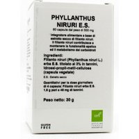 Phyllanthus niruri estratto secco 60 capsule