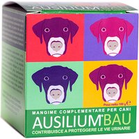 Ausilium bau 100 g