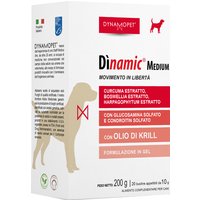 Dinamic 20 bustine 10 g
