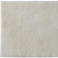 Medicazione biatain alginate ag in alginato e carbossimetilcellulosa a rilascio di argento 10x10 cm 10 pezzi