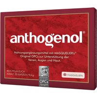 Opc masquelier anthogenol 30 capsule