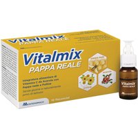 Vitalmix pappa reale 10flaconcini x10 ml s/gl