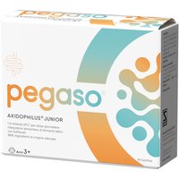 Pegaso axidophilus junior 14 bustine da 1,5 g