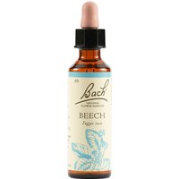 Beech bach orig 20 ml