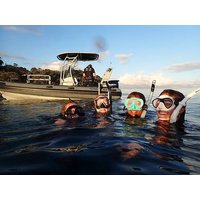 Guided Dive Tour | Goat Island