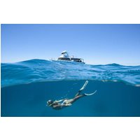 Great Barrier Reef Day Trip | Snorkel & Cert Dive Options