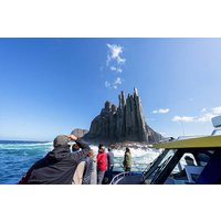 Cape Raoul Cruise With Port Arthur Day Tour | From Hobart